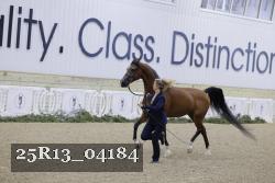 25R13_04184 thumbnail