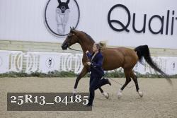 25R13_04185 thumbnail