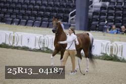 25R13_04187 thumbnail