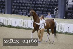 25R13_04188 thumbnail