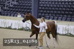 25R13_04189 thumbnail
