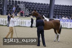 25R13_04190 thumbnail