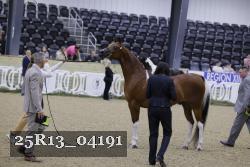 25R13_04191 thumbnail