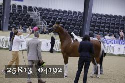 25R13_04192 thumbnail