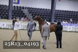 25R13_04193 thumbnail