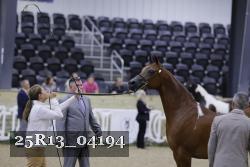 25R13_04194 thumbnail