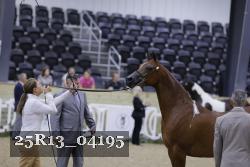 25R13_04195 thumbnail