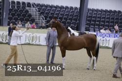 25R13_04196 thumbnail