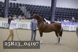 25R13_04197 thumbnail