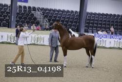 25R13_04198 thumbnail