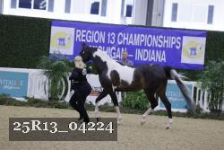 25R13_04224 thumbnail