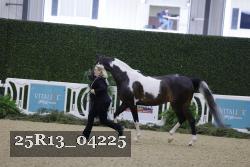 25R13_04225 thumbnail