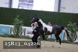 25R13_04226 thumbnail