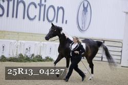 25R13_04227 thumbnail
