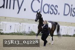25R13_04228 thumbnail