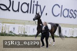 25R13_04229 thumbnail
