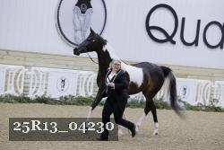 25R13_04230 thumbnail