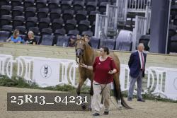25R13_04231 thumbnail