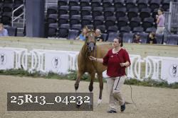 25R13_04232 thumbnail