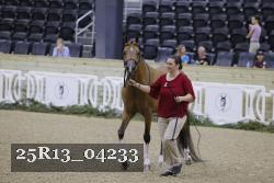 25R13_04233 thumbnail