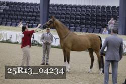 25R13_04234 thumbnail