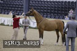 25R13_04235 thumbnail