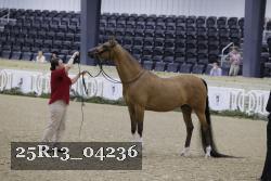 25R13_04236 thumbnail
