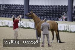 25R13_04238 thumbnail