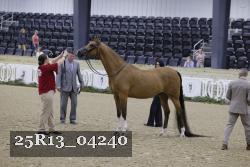 25R13_04240 thumbnail