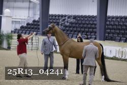 25R13_04241 thumbnail