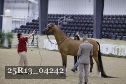 25R13_04242 thumbnail