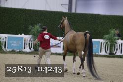 25R13_04243 thumbnail