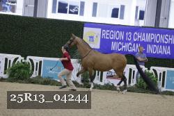 25R13_04244 thumbnail