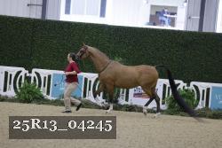 25R13_04245 thumbnail