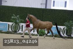 25R13_04246 thumbnail
