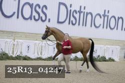 25R13_04247 thumbnail