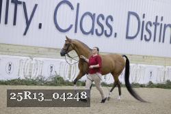 25R13_04248 thumbnail