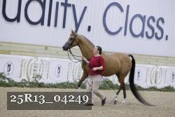 25R13_04249 thumbnail