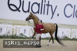 25R13_04250 thumbnail