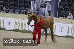 25R13_04251 thumbnail