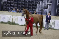 25R13_04252 thumbnail