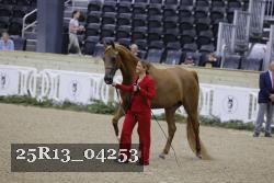 25R13_04253 thumbnail