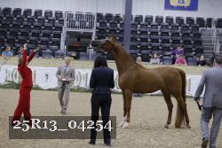 25R13_04254 thumbnail