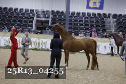 25R13_04255 thumbnail