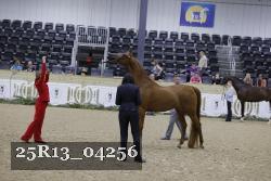 25R13_04256 thumbnail