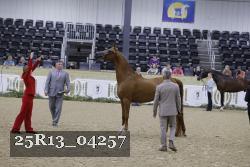 25R13_04257 thumbnail