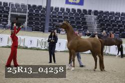 25R13_04258 thumbnail