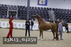 25R13_04259 thumbnail