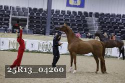 25R13_04260 thumbnail
