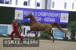 25R13_04261 thumbnail